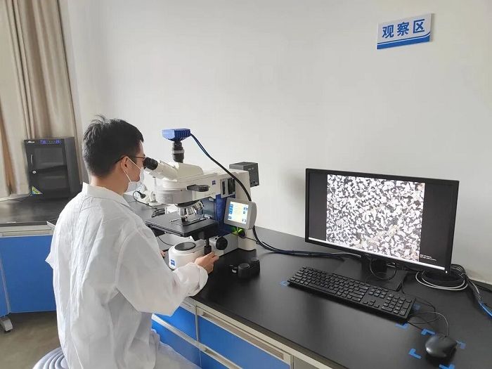 Low Magnification Microstructure And Defect Acid Corrosion Detection Of Steel best