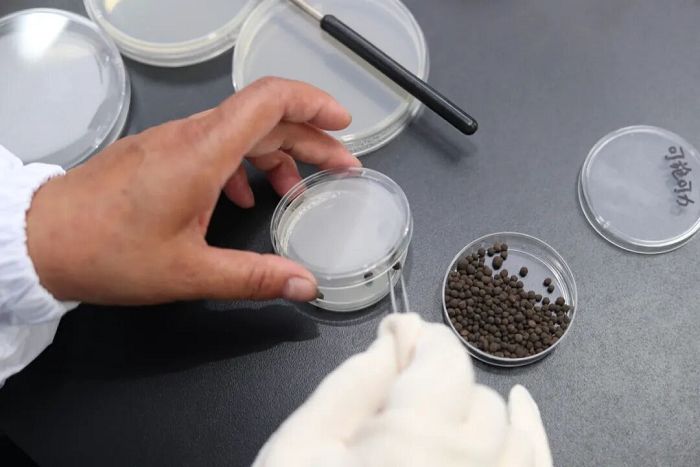 Bacterial Fertilizer Testing