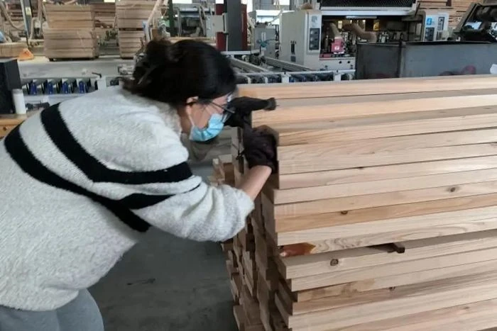 Bamboo And Wood Testing factory