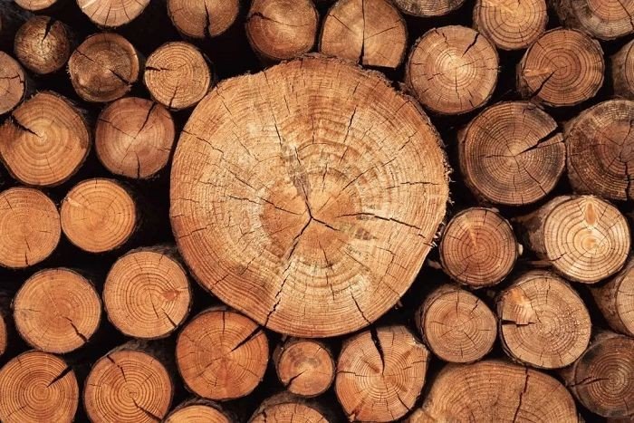 Bamboo And Wood Testing best