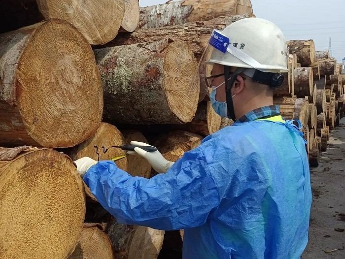 Bamboo And Wood Testing price