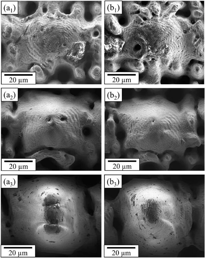 Corrosion Failure Analysis high quality