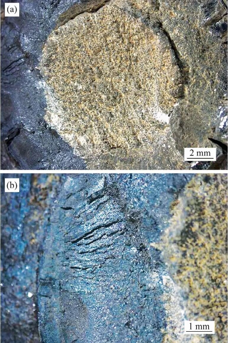 Corrosion Failure Analysis best