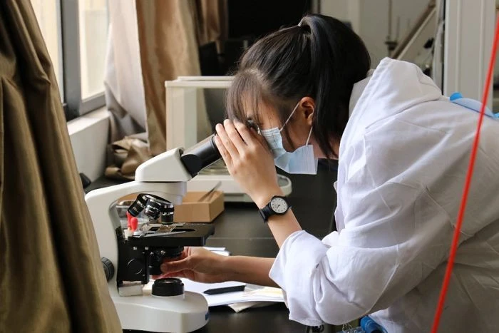 Fabric Inspection price