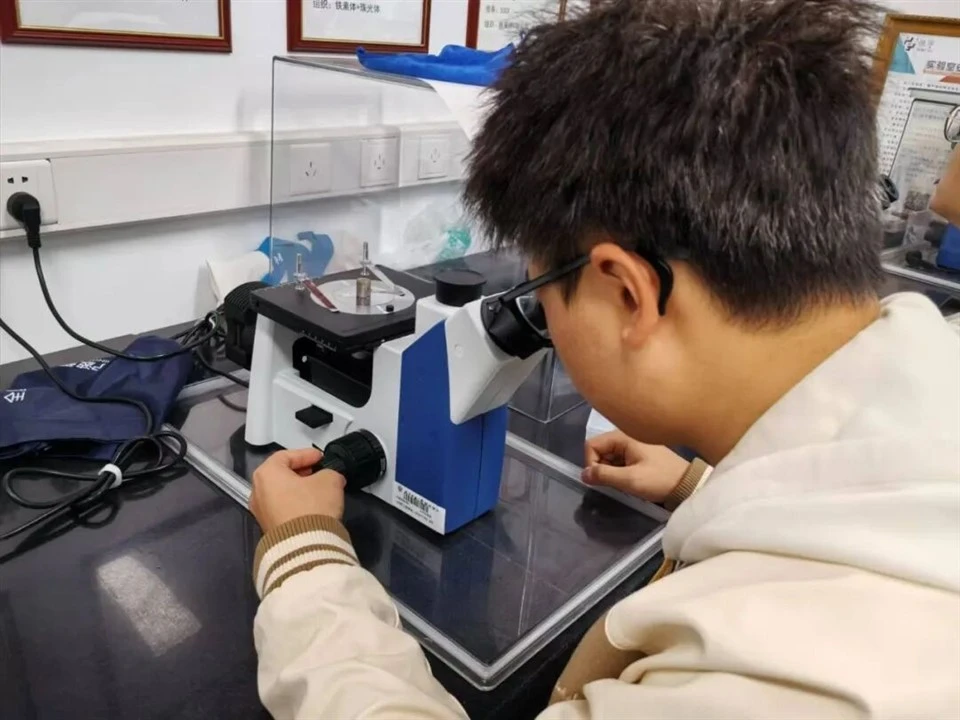 Ferrite Detection best