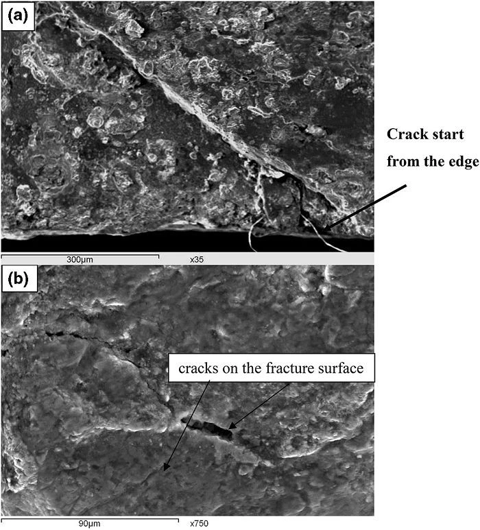 Fracture Failure Analysis suppliers