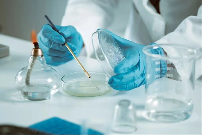 Fungicide Testing
