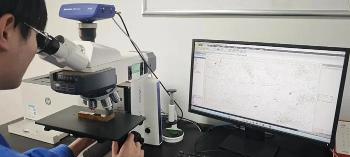 Grain Size Detection Of Ferrite in Steel Plate suppliers