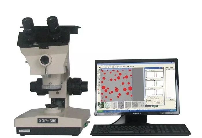 Grain Size Detection Of Ferrite in Steel Plate