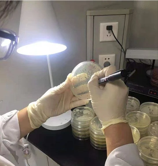 Chemical Product Testing