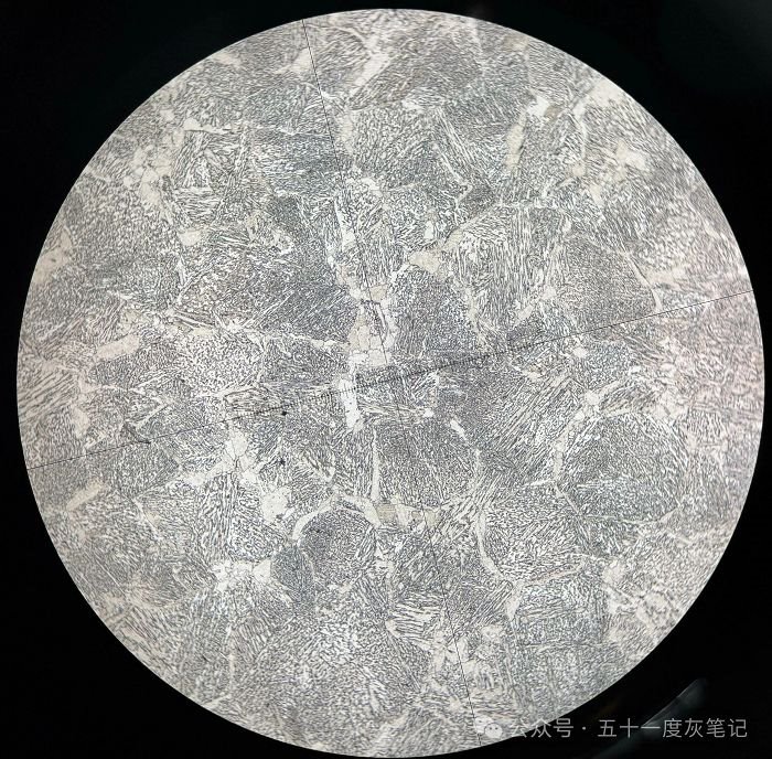 Low Magnification Organizational Testing
