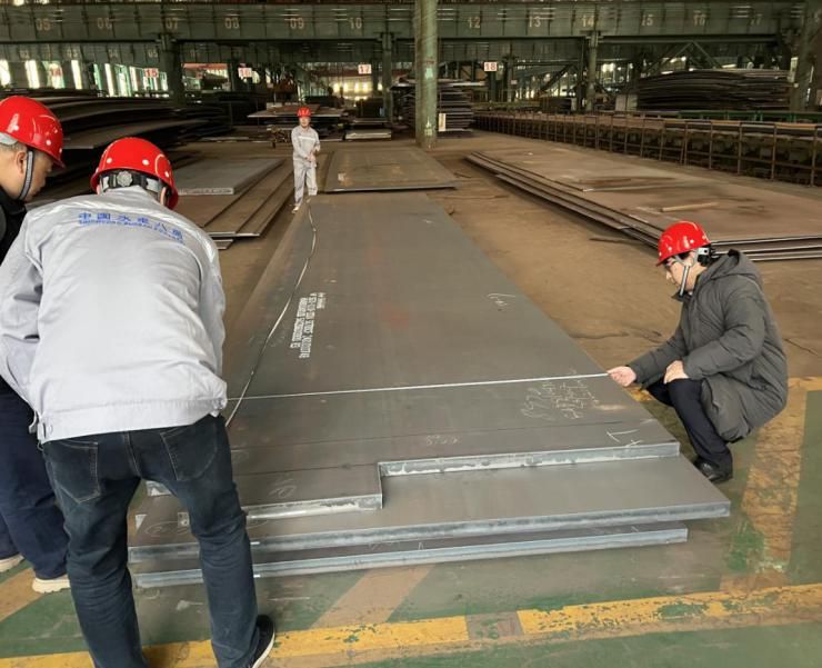 Metal Sheet Inspection