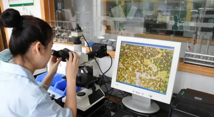 Metallographic Testing Of Copper Alloys suppliers