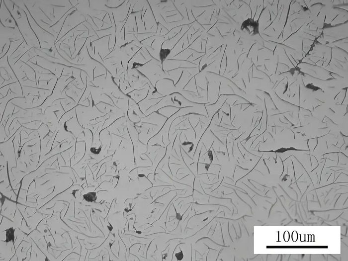 Metallographic Testing Of Gray Cast Iron