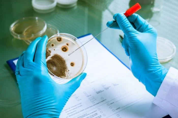 Microbial Testing For Cosmetics best
