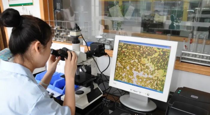 Microstructure Detection Of Metals