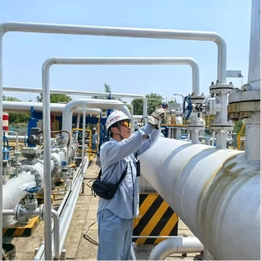 Pipe Inspection