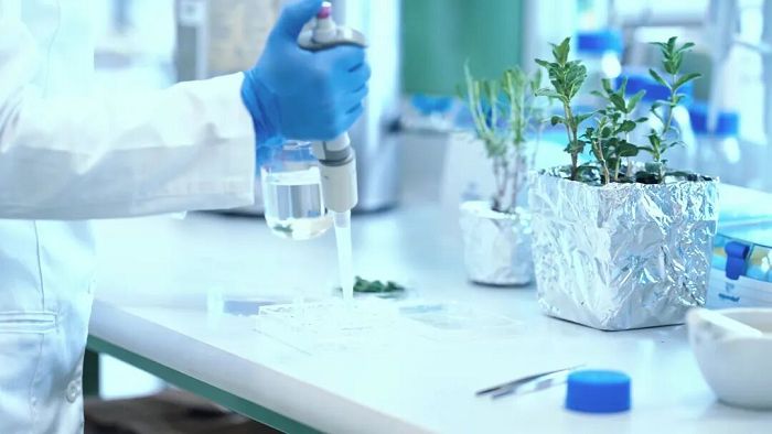 Plant Growth Regulator Testing