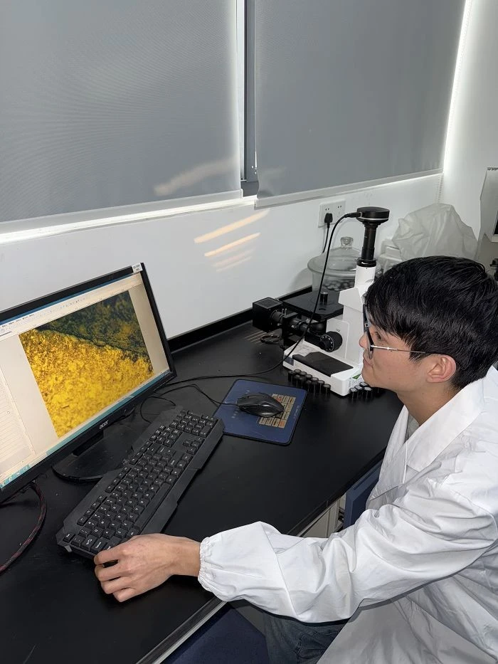 Crystallinity test(001)