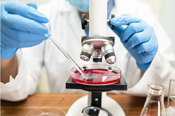 Polyvinyl Chloride (PVC) Testing factory