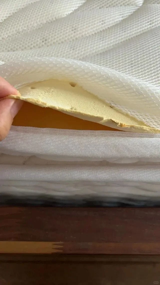 Rubber Mattress Testing factory