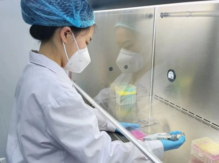 Rubber Mattress Testing best