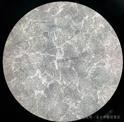 Low Magnification Organizational Testing