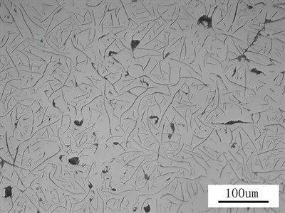 Metallographic Testing Of Gray Cast Iron