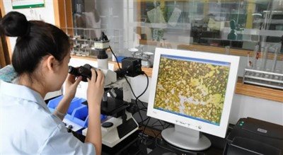 Microstructure Detection Of Metals