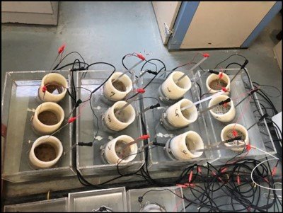 Simulated Seawater Corrosion Detection