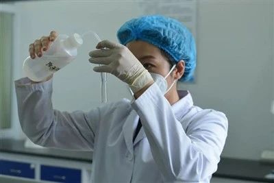 Special Fiber Testing