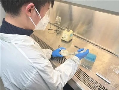 Tape Inspection