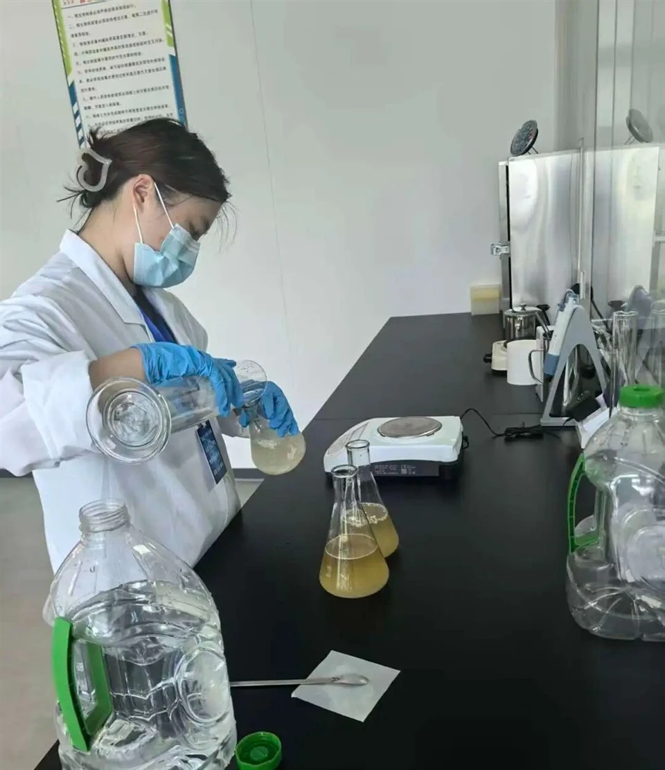 Sponge Product Testing suppliers